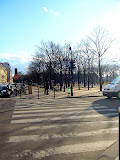 P1040308.JPG