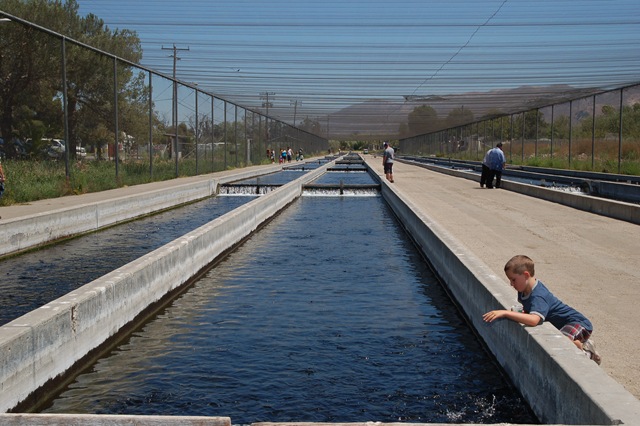 [2010_08150282[2].jpg]
