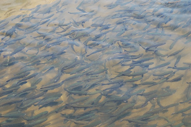 [2010_08150296[2].jpg]