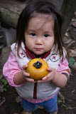 dsc06612.jpg