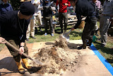 DSC08098.JPG