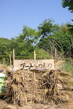 DSC08163.JPG