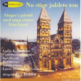 [swedish christmas[2].jpg]