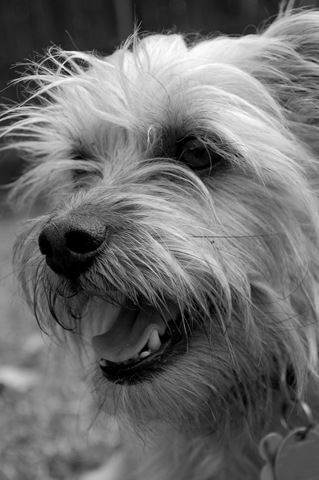[DSC_0786[3].jpg]