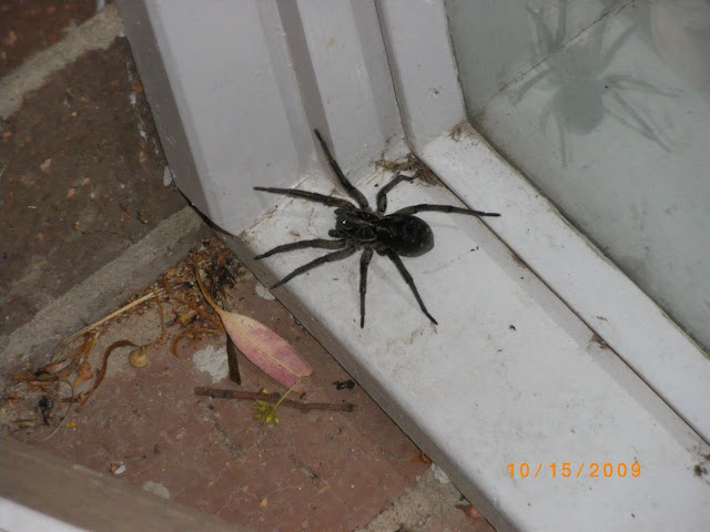 IMGP0680.JPG