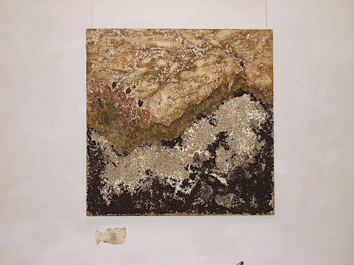enrique camarena salazar