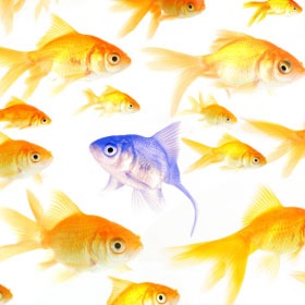 [swimming-against-the-stream[10].jpg]