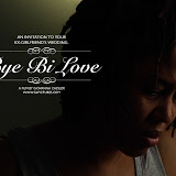 Giovanna Chesler: 3 DVD set of films— Bye Bi Love, BeauteouS: The Trilogy, Period: The End of Menstruation, hand-some. Giovanna Chesler