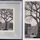 Alec Icky Dunn: Dutch Elm Alec Icky Dunn: Dutch Elm