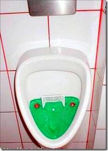 WC sportivo