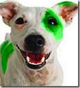L'unione tra Laika e i Reptiliani genera una nuova stirpe di cani-rettili, adorabili ma letali L'unione tra Laika e i Reptiliani genera una nuova stirpe di cani-rettili, adorabili ma letali
