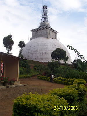 Mahaweli Maha Seya from a distance