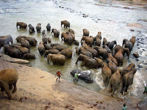 srilanka0018.JPG