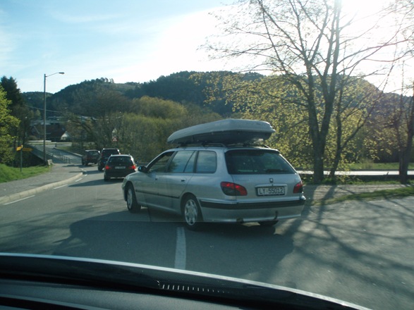 mere Skogtun 005 mere Skogtun 005