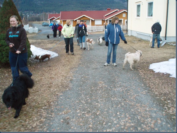 snusetur 010