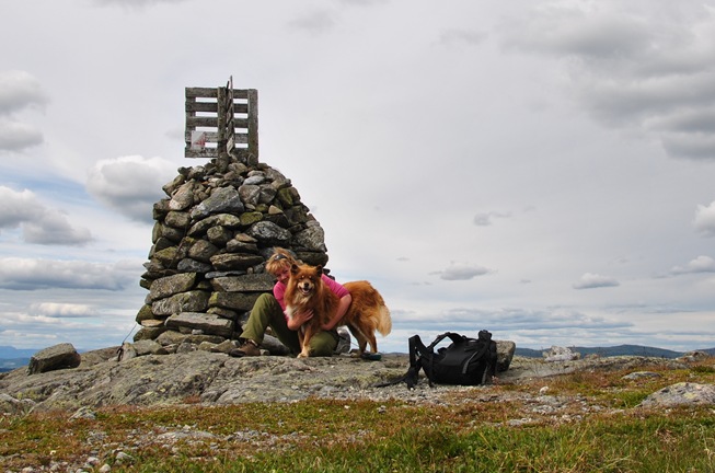 Vardefjell 006 Vardefjell 006