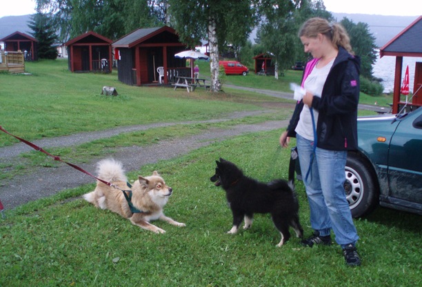 Biri-helg 007 Biri-helg 007