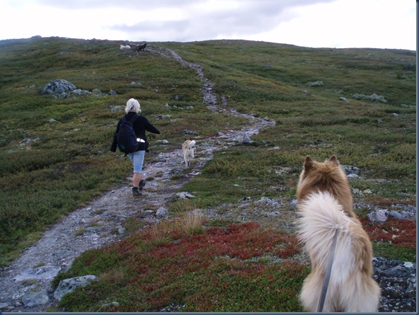 Blåfjell 002