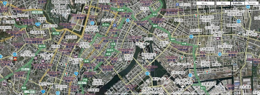 Tokyo-GoogleSat-090409-1.jpg