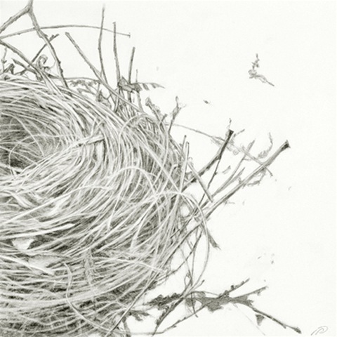 [Empty-Nest-#1[9].jpg]