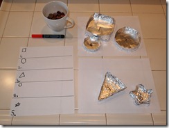FinnKindyScienceProject 015