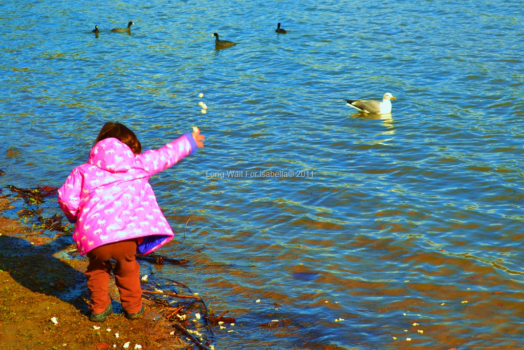 [DSC_00908.jpg]
