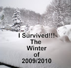 I Survived The Winter Poster