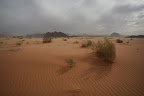 IMG_1974.JPG