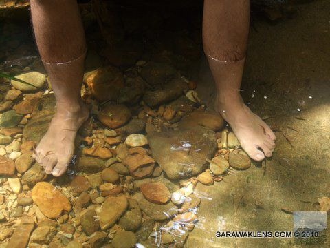 natural_fish_foot_spa