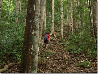 Santubong_Mountain_Kuching_Sarawak_28 Santubong_Mountain_Kuching_Sarawak_28