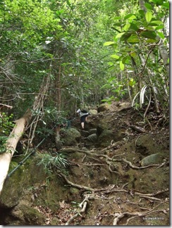 Santubong_Mountain_Kuching_Sarawak_05 Santubong_Mountain_Kuching_Sarawak_05