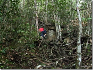 Santubong_Mountain_Kuching_Sarawak_17 Santubong_Mountain_Kuching_Sarawak_17