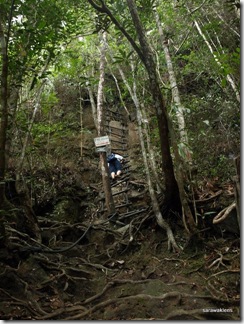 Santubong_Mountain_Kuching_Sarawak_30 Santubong_Mountain_Kuching_Sarawak_30