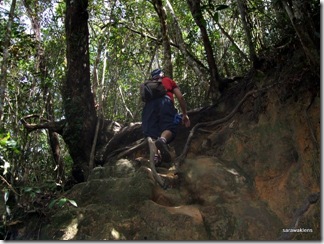 Santubong_Mountain_Kuching_Sarawak_19