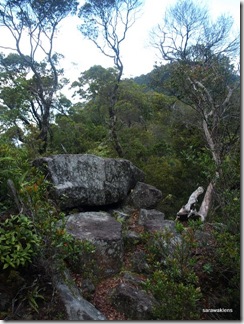 Santubong_Mountain_Kuching_Sarawak_49 Santubong_Mountain_Kuching_Sarawak_49