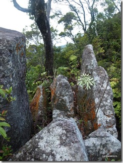 Santubong_Mountain_Kuching_Sarawak_50 Santubong_Mountain_Kuching_Sarawak_50