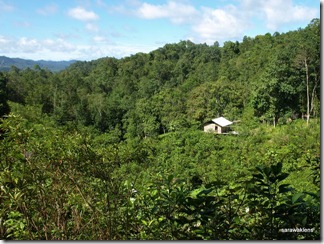 Gunung_Jagoi_summit_trek_06