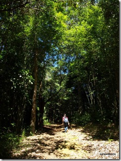 Gunung_Jagoi_summit_trek_15