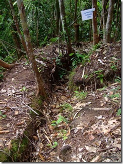 Japanese_trench_and_tunnel_1942_Gunung_Jagoi_3