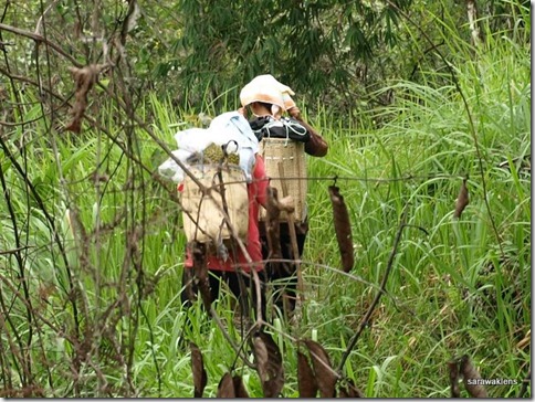 Villagers_carrying_durians