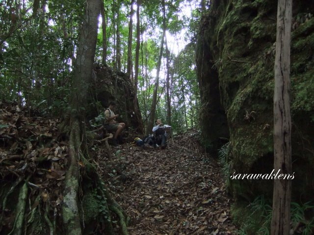 [Teluk_Limau_trail_Bako_National_Park_31.jpg]