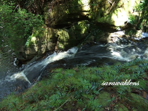 Tajor_Waterfall_Bako_National_Park_05