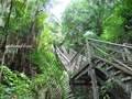 Pulau_Lakei_Bako_National_Park_08