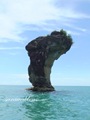 Pulau_Lakei_Bako_National_Park_40