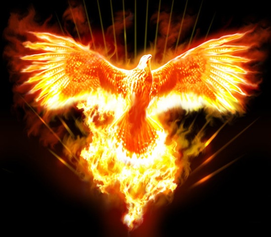 [Fenix[10].jpg]