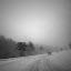 Complete whiteout on the drive up, but we all made it. Complete whiteout on the drive up, but we all made it.