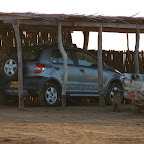 Despertar en la enramada Despertar en la enramada