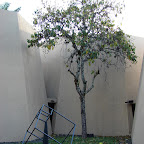 Figura m&oacute;vil, Museo Rayo