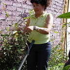 Trabajando un 1ro de Enero