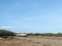 El tren del Cerrejón El tren del Cerrejón